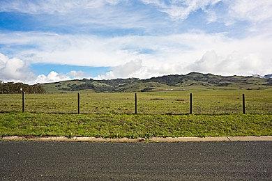 开放世界恐怖游戏《小火车查尔斯》新实机演示 年内发售